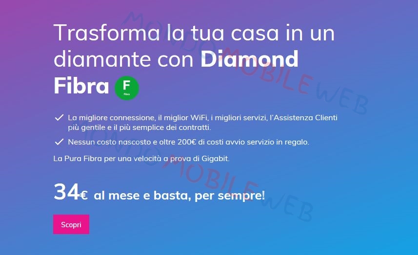 Melita Diamond Fibra