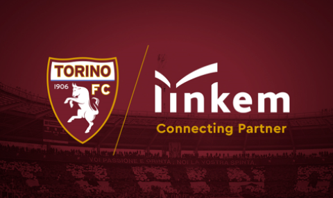 Linkem Torino