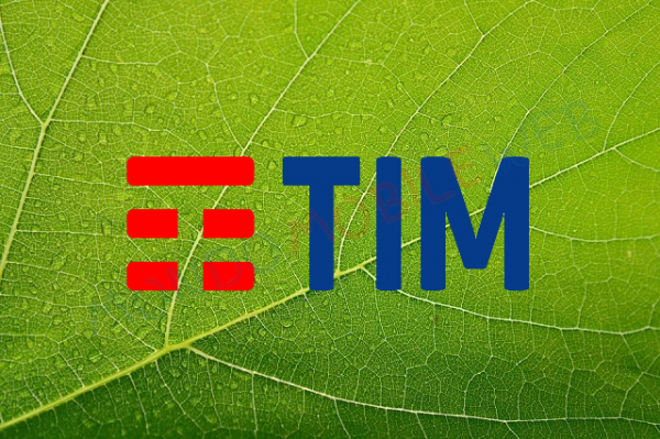 Tim