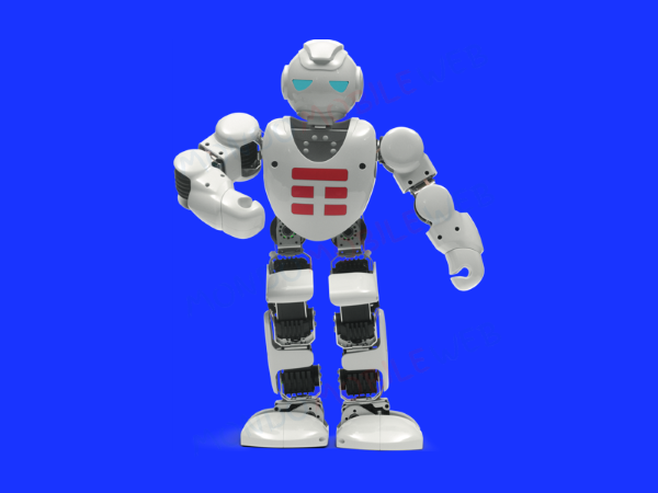 rete fissa convergenza