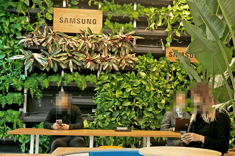 linkem store different