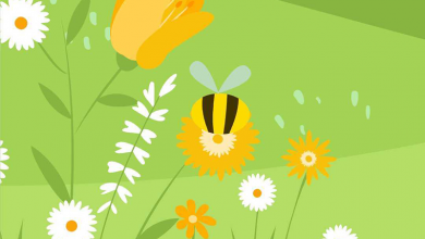 Vodafone Happy Friday