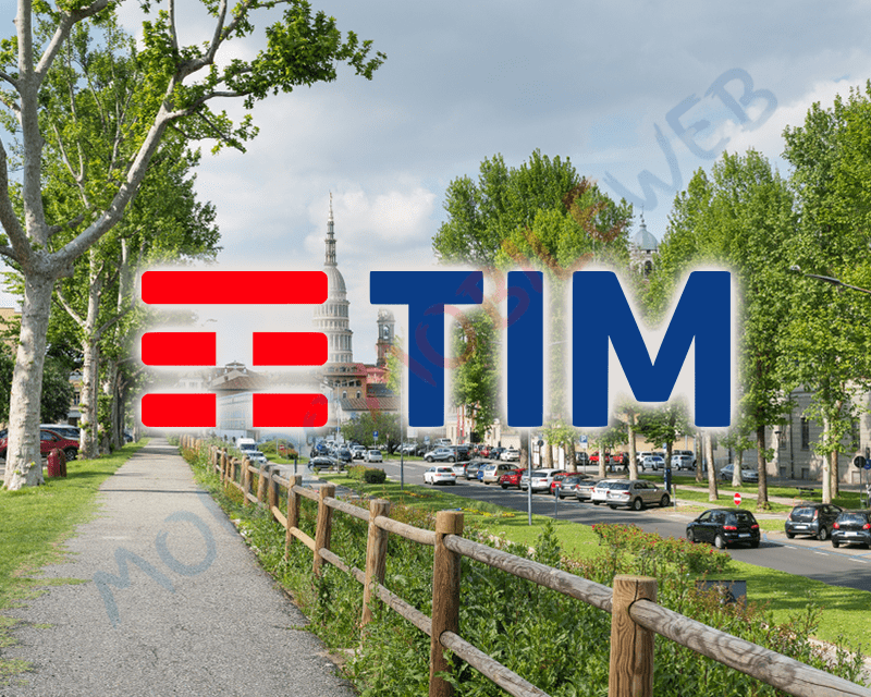 TIM
