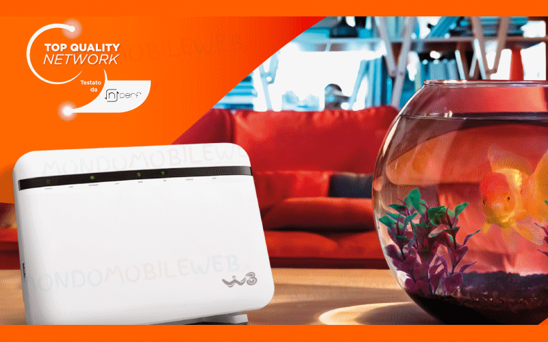 Super Fibra Limited Edition