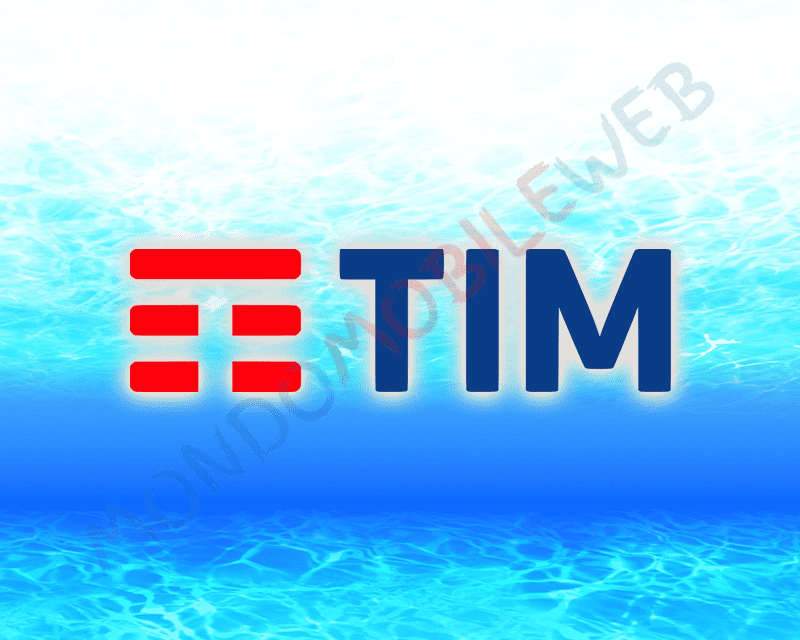 TIM