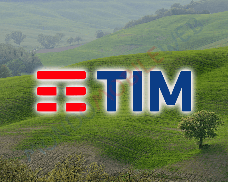 TIM