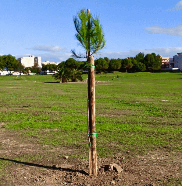 Bosco Urbano Taranto