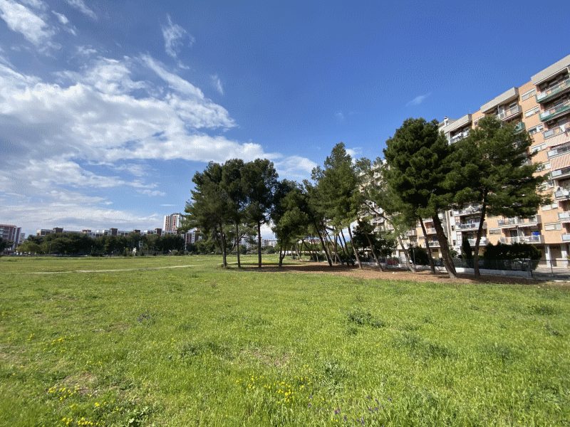 Bosco Urbano Taranto