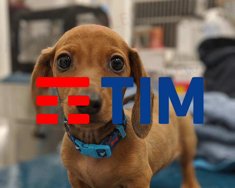 TIM