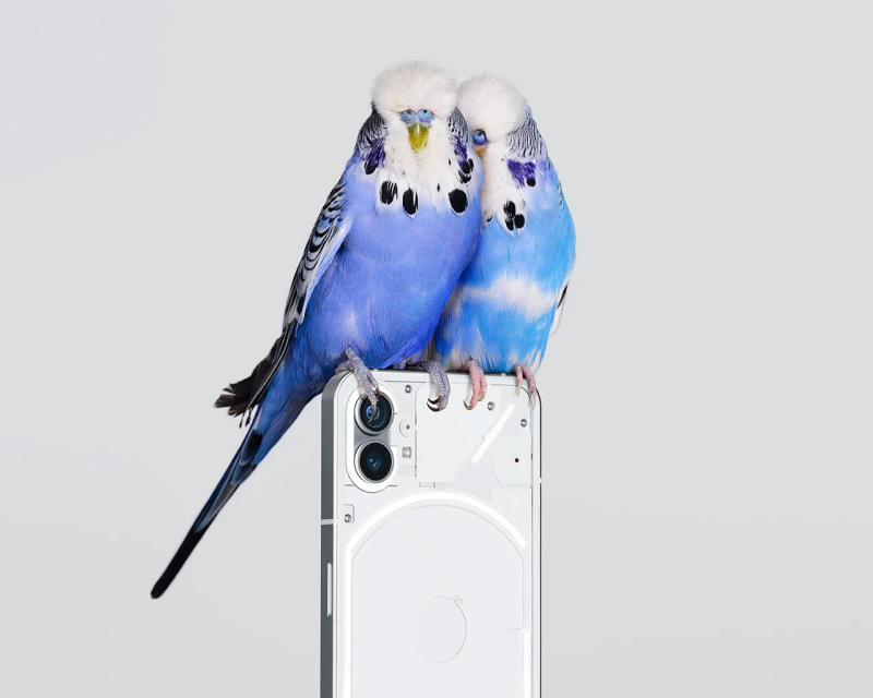Nothing Phone (1)