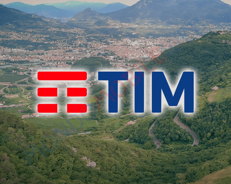 TIM