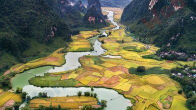 WINDTRE Travel Pass Vietnam