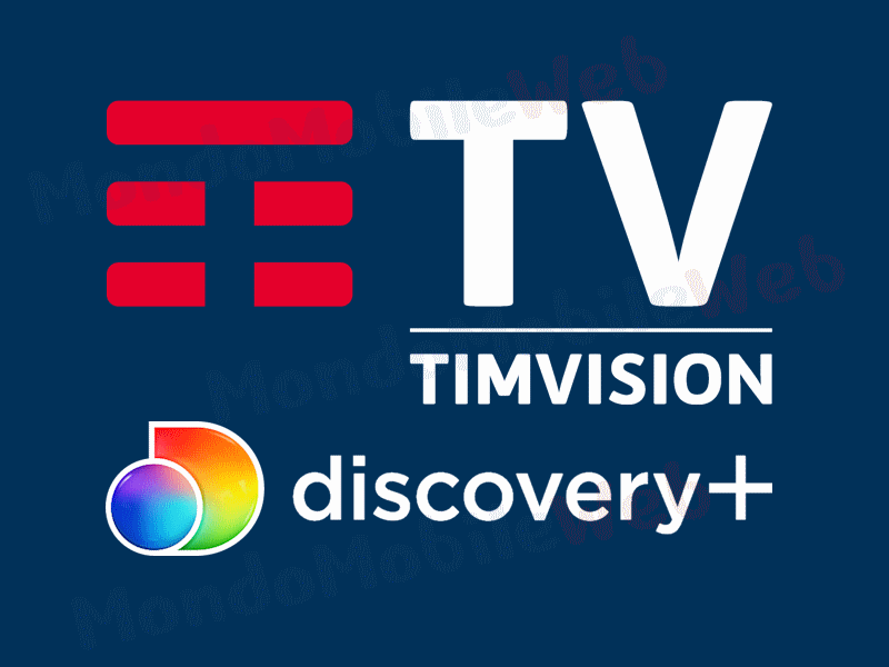 TIMVISION