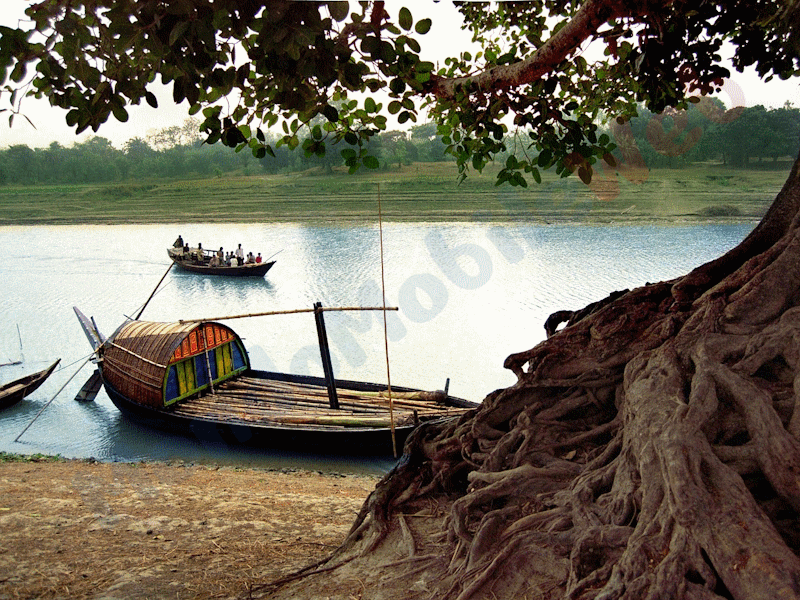WINDTRE Bangladesh