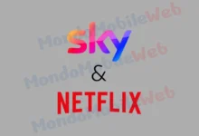 Sky Netflix