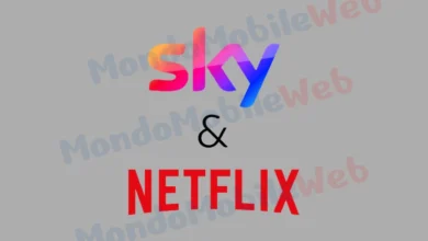 Sky Netflix