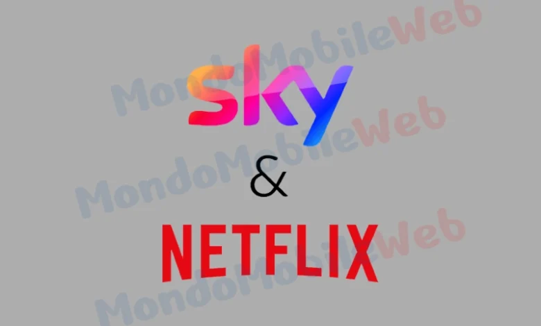 Sky Netflix