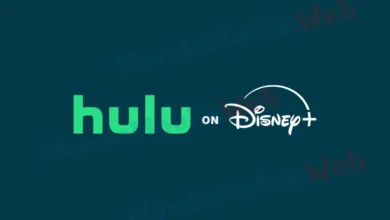 Disney+ Hulu