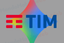 TIM Gemini