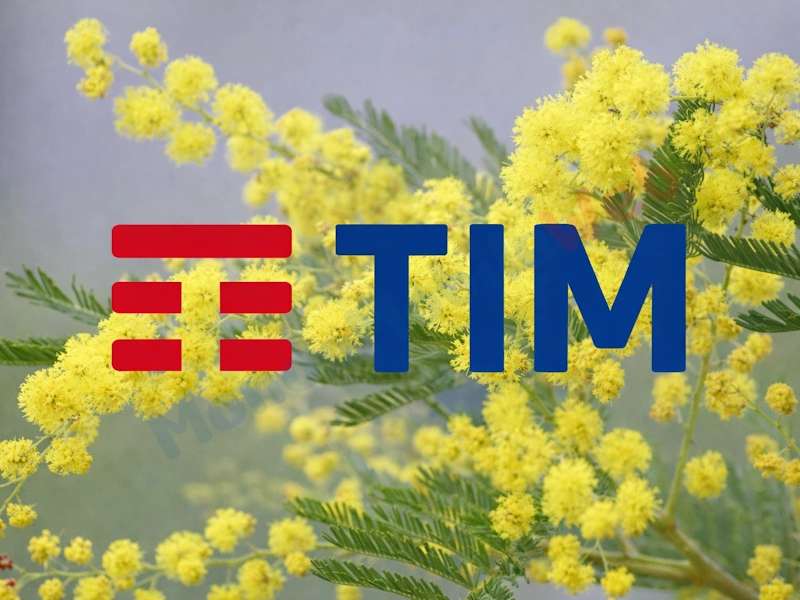TIM