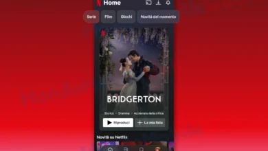 Netflix app