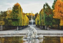 Very Plus Vienna