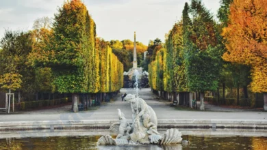 Very Plus Vienna